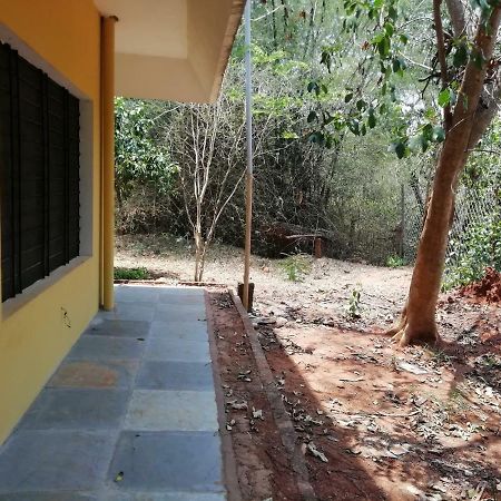 Purity Guest House Auroville Luaran gambar