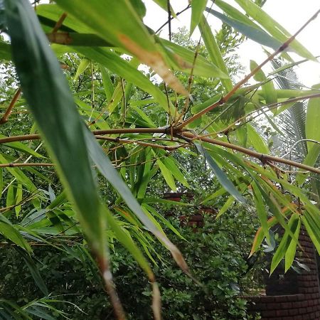 Purity Guest House Auroville Luaran gambar