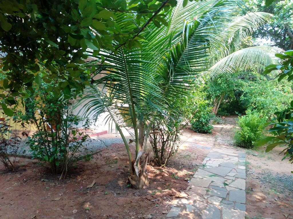 Purity Guest House Auroville Luaran gambar