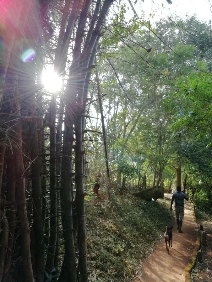 Purity Guest House Auroville Luaran gambar