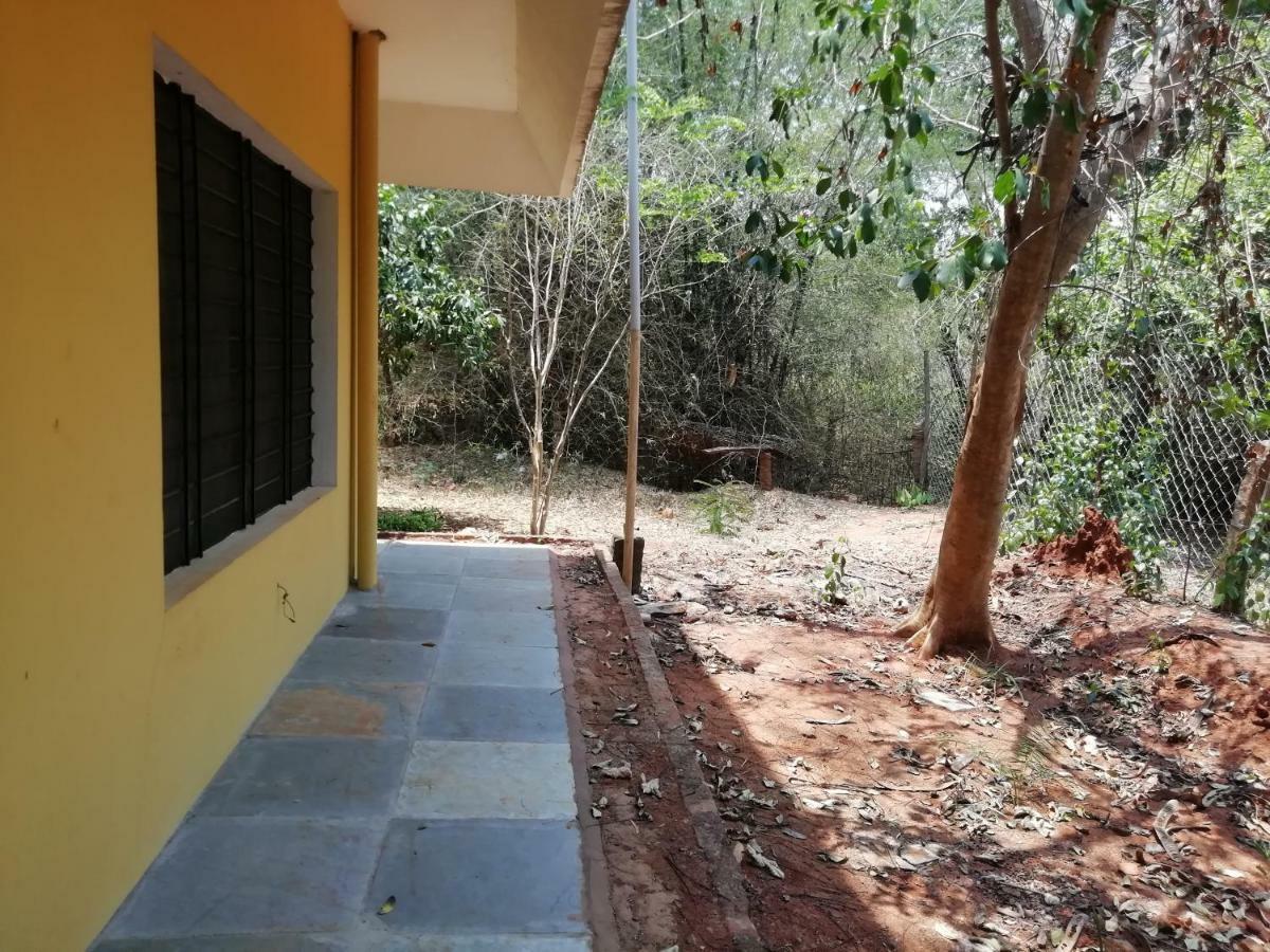 Purity Guest House Auroville Luaran gambar