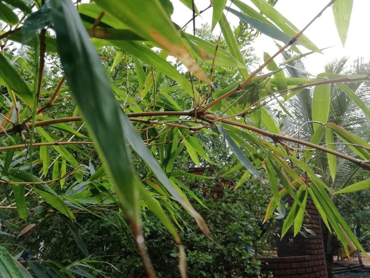 Purity Guest House Auroville Luaran gambar