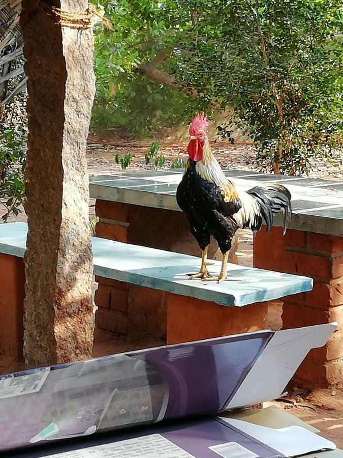 Purity Guest House Auroville Luaran gambar